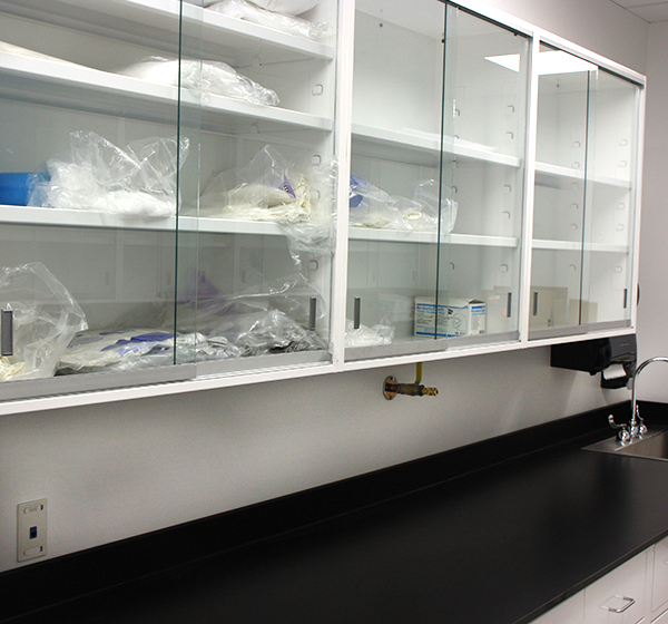 lab cabinets with 2 shelves